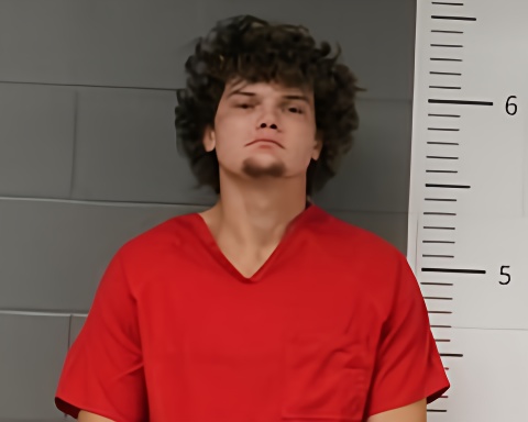 Mugshot of BRAYLEN SWEARENGIN