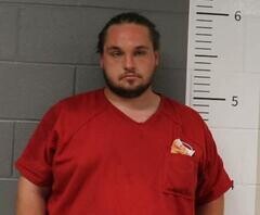 Mugshot of PERRY ALLEN