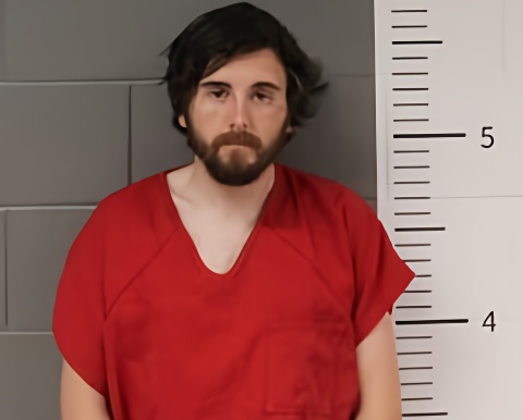 Mugshot of PETER DAVIS