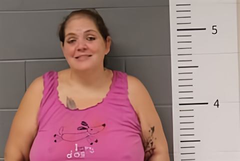 Mugshot of JAMIE PERKINS