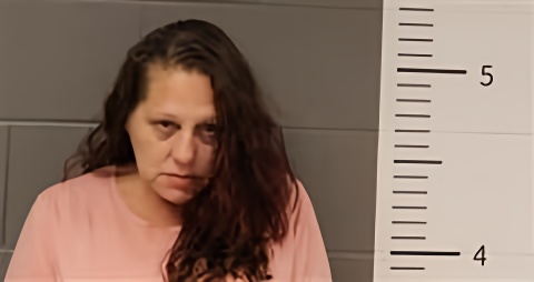 Mugshot of LISA HICKS