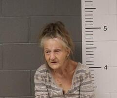 Mugshot of PAMELA CASTLEBERRY
