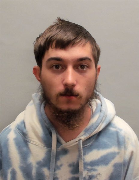 Mugshot of LOGAN SHANE DELOACH