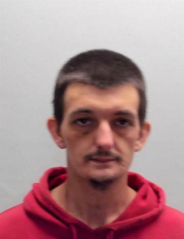 Mugshot of JOHN LUCAS HOLLINGSWORTH