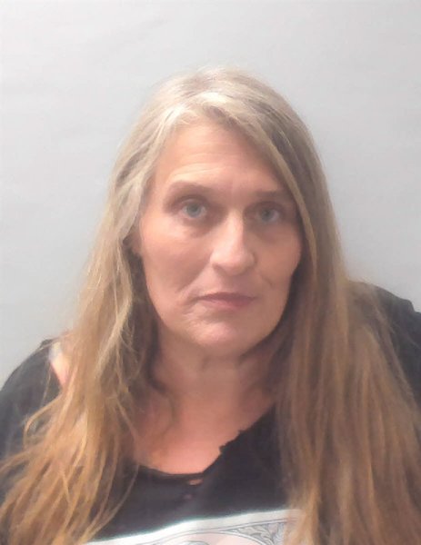 Mugshot of PAULA LIVELY JONES