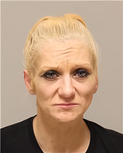 Mugshot of KYLIE ANN SULLIVAN