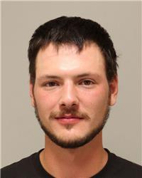 Mugshot of DYLAN DEAN GOULET