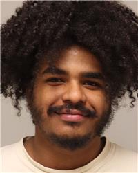 Mugshot of WALTER ROBERT FOSTER-GRAHAM