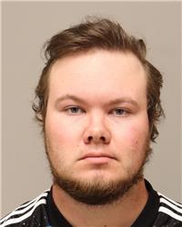 Mugshot of SAMUEL JON SHEAGREN