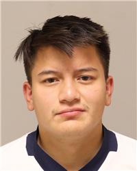 Mugshot of ERIK LEONELL ORELLANA