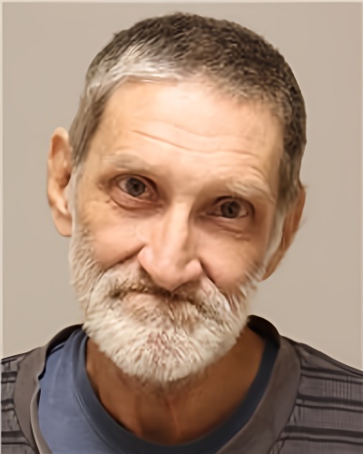 Mugshot of RONALD LOUIS PLOCAR