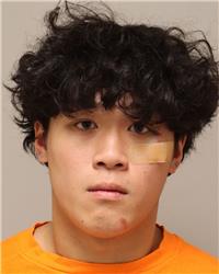 Mugshot of JOHNNY VY LEE