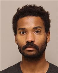 Mugshot of SAVION MARQUIN JOHNSON-STANLEY