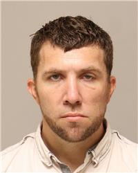 Mugshot of TRAVIS LEE PEDERSON