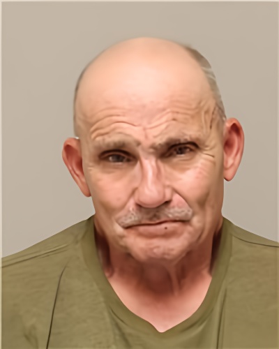 Mugshot of CURTIS LEE MCMANIGLE