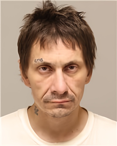 Mugshot of DENNIS W DAVIS
