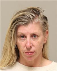 Mugshot of DANA MARIE BRUNDIECK