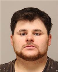 Mugshot of DENNIS JOSEPH MEYER