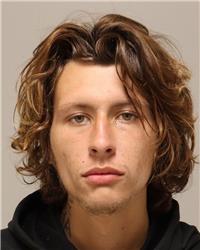 Mugshot of DOMINIC LEE BUDNICK