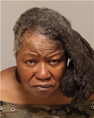 Mugshot of DONNA ANN PARKER