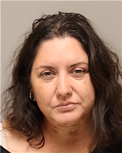 Mugshot of SHANNON LOUISE MINER