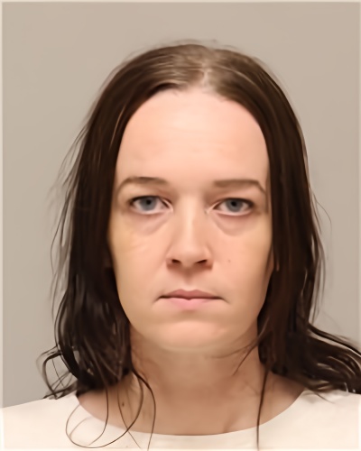 Mugshot of JULIA FRANCES ANDERSON