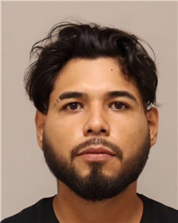 Mugshot of LUIS FERNANDO TAPIA URIOSO