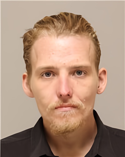 Mugshot of LOGAN RICHARD MITSCH