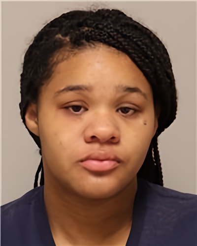 Mugshot of VANESSA L SANTIAGO-TAYLOR