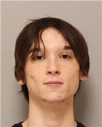 Mugshot of CASEY JAMES LANDMARK