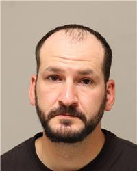 Mugshot of CORY SCOTT WELLSTED