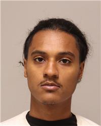 Mugshot of TREVIONTAE MONTREZ DESJARLAIT