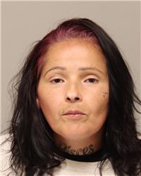 Mugshot of DANIELLE DANIJOHN POWE