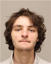 Mugshot of JAMISON RAY ROSANDICH