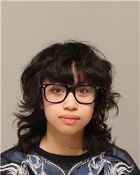 Mugshot of JOLIN TRAN