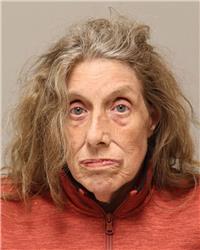 Mugshot of SHARON ANNE JOHNSON