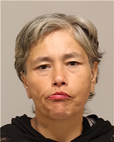 Mugshot of HEATHER RAE WILSON