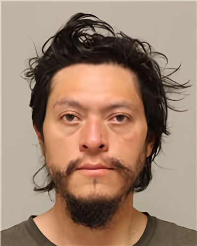 Mugshot of ARTURO SALINAS-VIDES