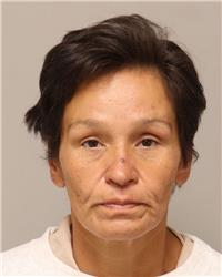 Mugshot of DANA MARIE JACKSON