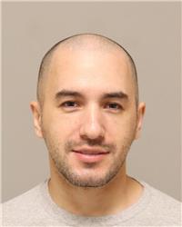 Mugshot of SEMIN TOPALOVIC