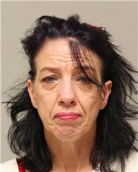 Mugshot of TINA MARIE NILES