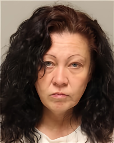 Mugshot of NICOLE CHRISTINE HANSON
