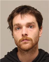 Mugshot of DILLAN JARED MESEDAHL