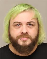 Mugshot of MATTHEW LEE WITZIG