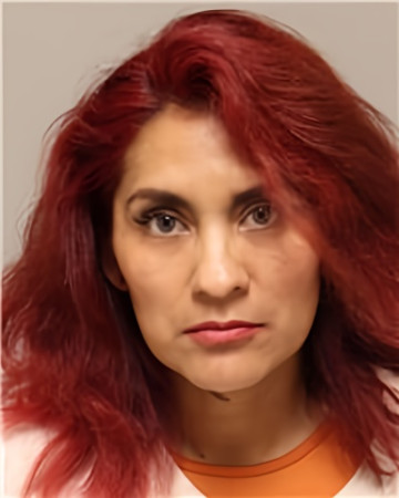 Mugshot of ANA PATRICIA LOUDEN