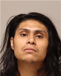 Mugshot of WILLIAM RICARDO PALMA