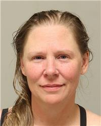 Mugshot of KELLI MARIE HALEK GUSTAFSON