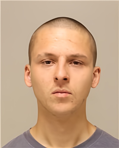 Mugshot of AUSTIN WILLIAM FARRELL