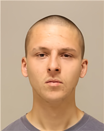 Mugshot of AUSTIN WILLIAM FARRELL