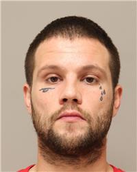 Mugshot of TRAVIS LEON WHITE